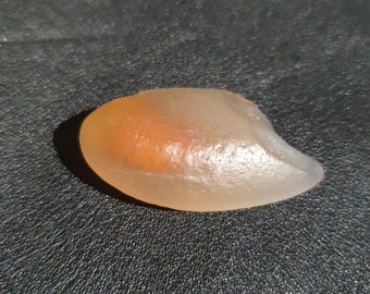 Matsya Mani Mustika Pearl 40 ct, Luck, Business, Sexual Strength, Bezoar Stone, izida