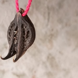 Rare Witches Amulet Scorpion Sting Devil Claw Bat Head Lucky Talisman Potion Mojo Bag Wicca Pagan VOODOO Hoodoo
