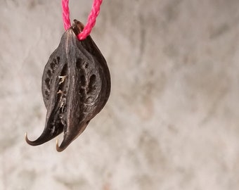 Rare Witches Amulet Scorpion Sting Devil Claw Bat Head Lucky Talisman Potion Mojo Bag Wicca Pagan VOODOO Hoodoo