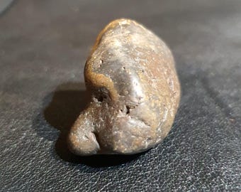 Rarest Two-horned Qilin Bezoar Stone Mustika Pearl, 71 carat, izida