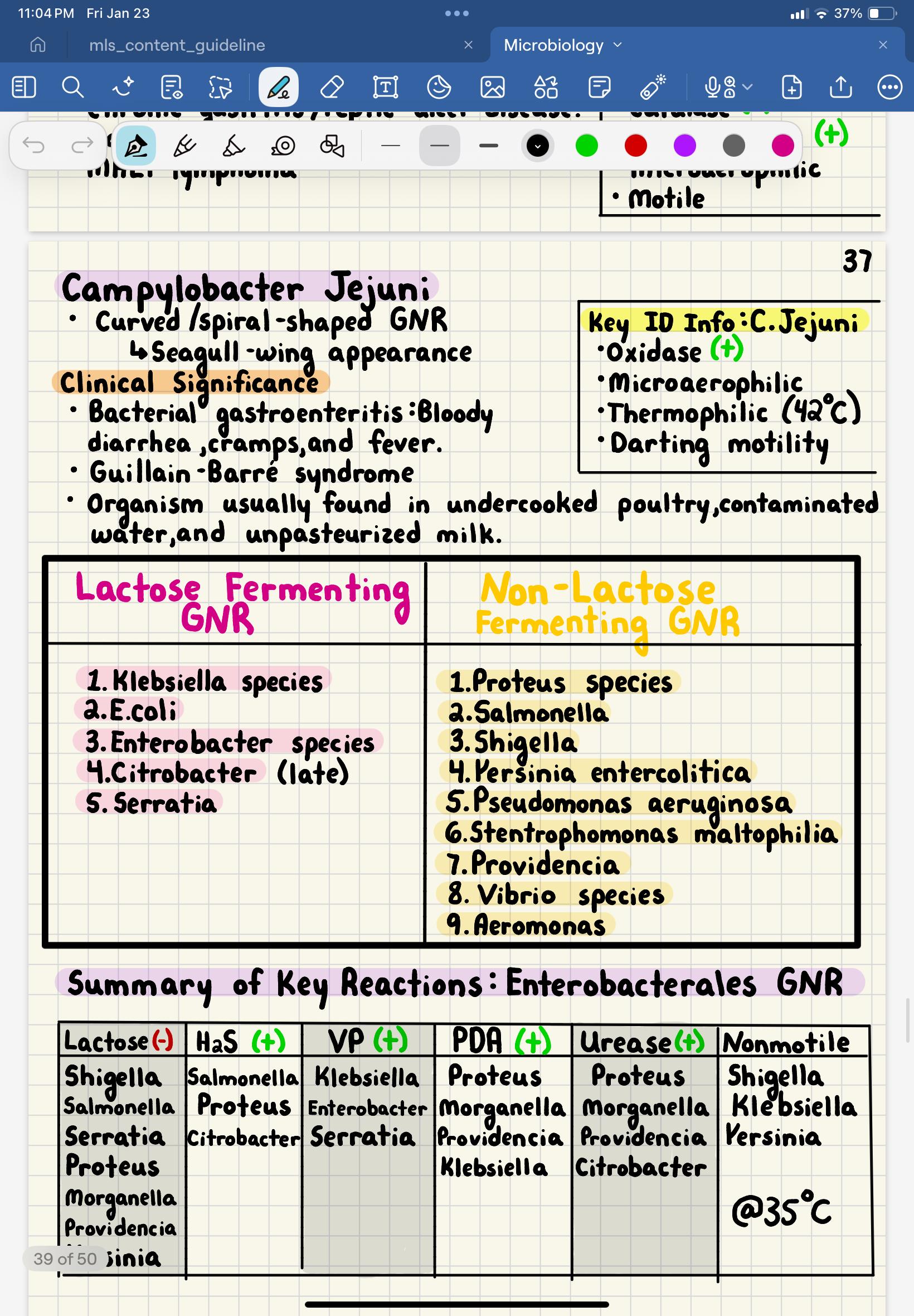 Mls Ascp MICROBIOLOGY ASCP Notes | 50 Page Handwritten MLS Study Guide | High ...
