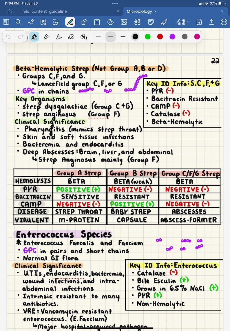 Mls Study Guide MICROBIOLOGY ASCP Notes | 50 Page Handwritten MLS Study Guide | High ...
