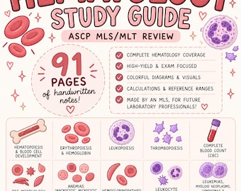 Op de afbeelding: Een hematologie-studiegids voor ASCP MLS/MLT-examenvoorbereiding met 91 pagina's handgeschreven notities. Het document bevat kleurrijke illustraties van bloedcellen, beenmerg en reageerbuizen, met tekst over hematopoëse, bloedarmoede en diverse bloedziekten.