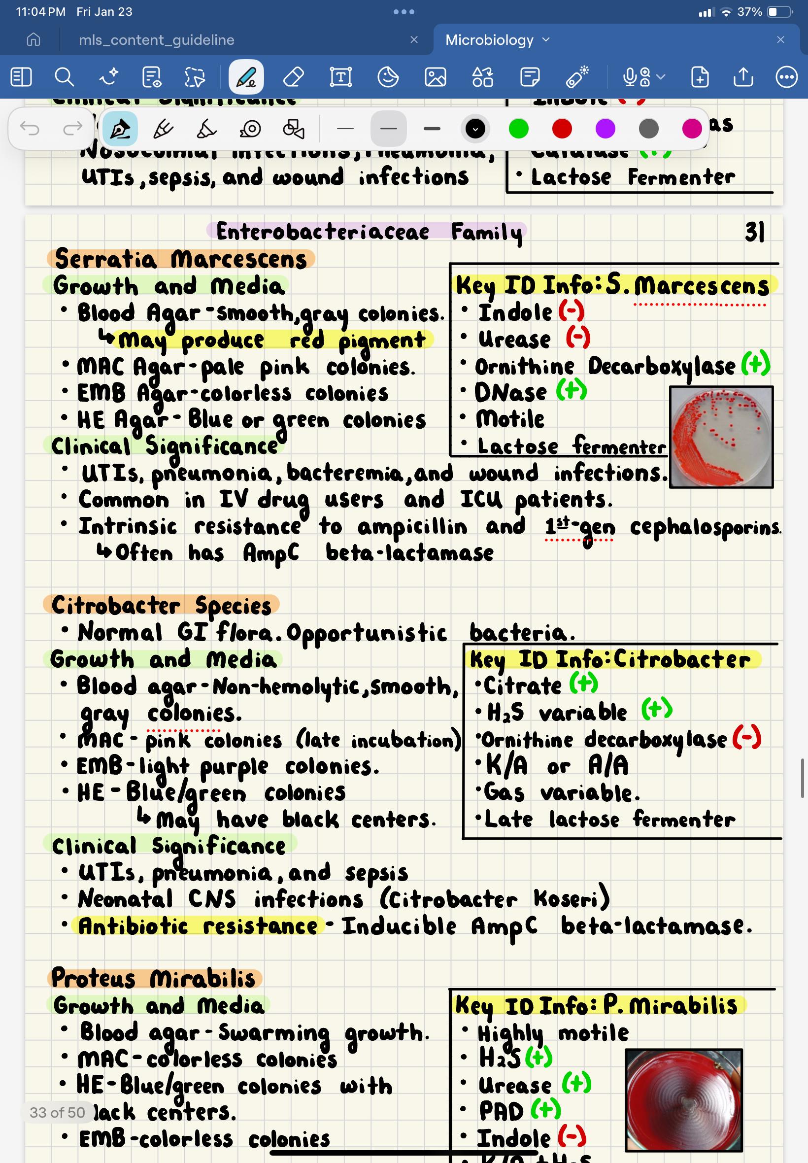 Mls Study Guide MICROBIOLOGY ASCP Notes | 50 Page Handwritten MLS Study Guide | High ...