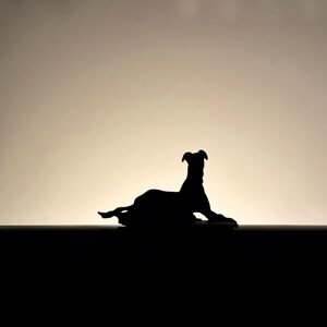 以下が含まれることがあります： 横たわっている犬の黒いシルエット。明るい背景を背景に、犬はリラックスした姿勢で横たわっています。犬の形は暗く、背景は明るく、コントラストが際立っています。