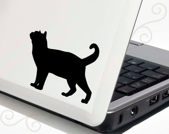 American Shorthair Decal Vinyl Sticker -- Bonus Backup Sticker Included - SilhouetteMYpet Design:CAT-ASH01