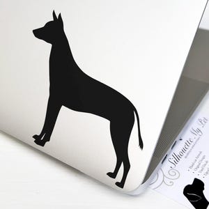 Xolo Xoloitzcuintli Mexican Hairless Dog Vinyl Decal - Bumper Sticker - SilhouetteMYpet Design:DOG-XOL01