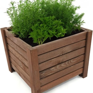 Può includere: Una fioriera quadrata in legno riempita di erbe verdi. La fioriera è realizzata in legno tinto con un design a doghe. Le erbe sono lussureggianti e vibranti, con varie tonalità di verde. Adatta per un patio o un giardino.