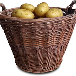 Può includere: Un cesto di vimini marrone intrecciato pieno di diverse patate gialle. Il cesto ha due manici e una forma svasata. Le patate sono di colore giallo chiaro e sembrano fresche.