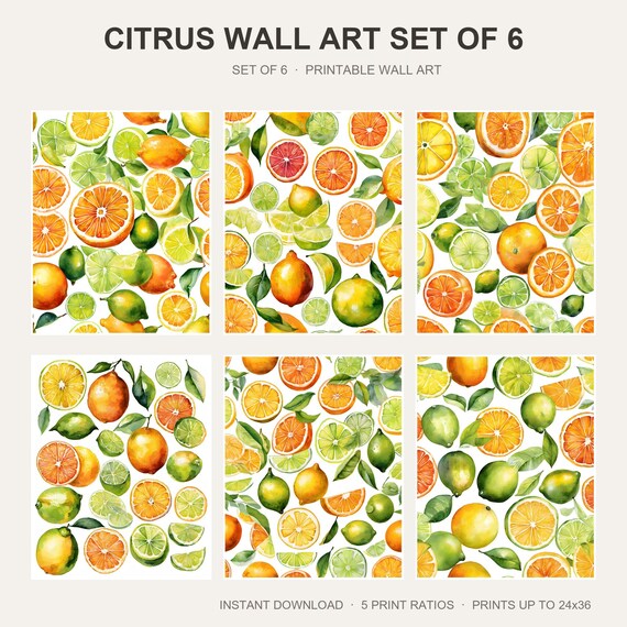Citrus Wall Art Set of 6
