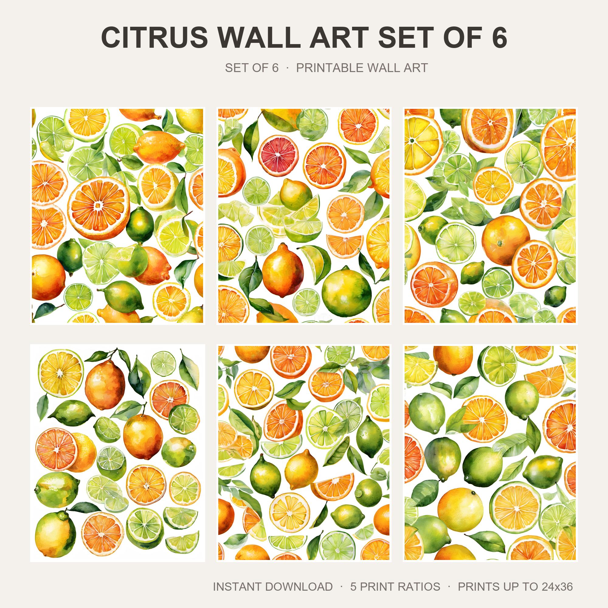Citrus Wall Art Set of 6