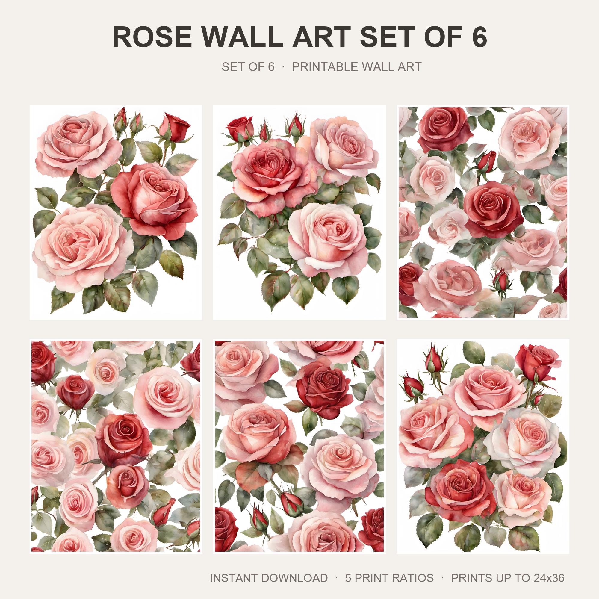 Rose Wall Art Set of 6