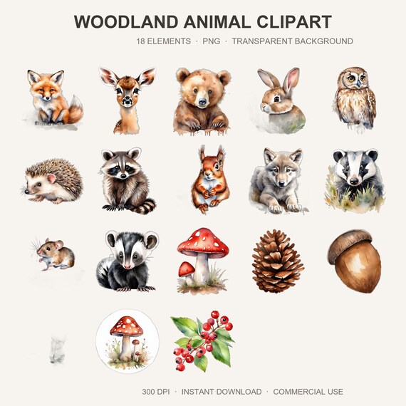 Woodland Animal Clipart