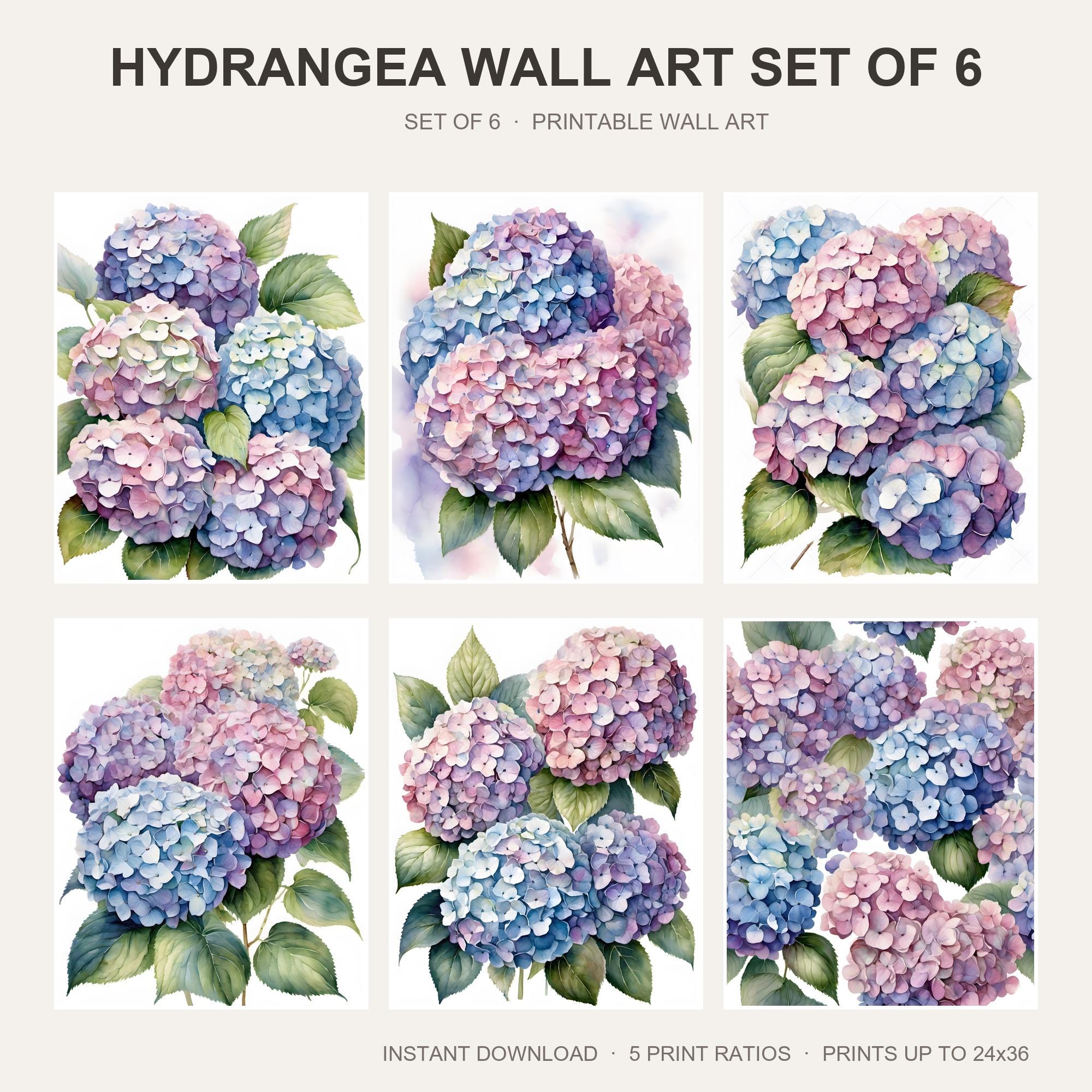 Hydrangea Wall Art Set of 6