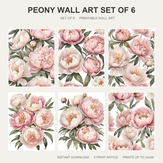Peony Wall Art Set of 6