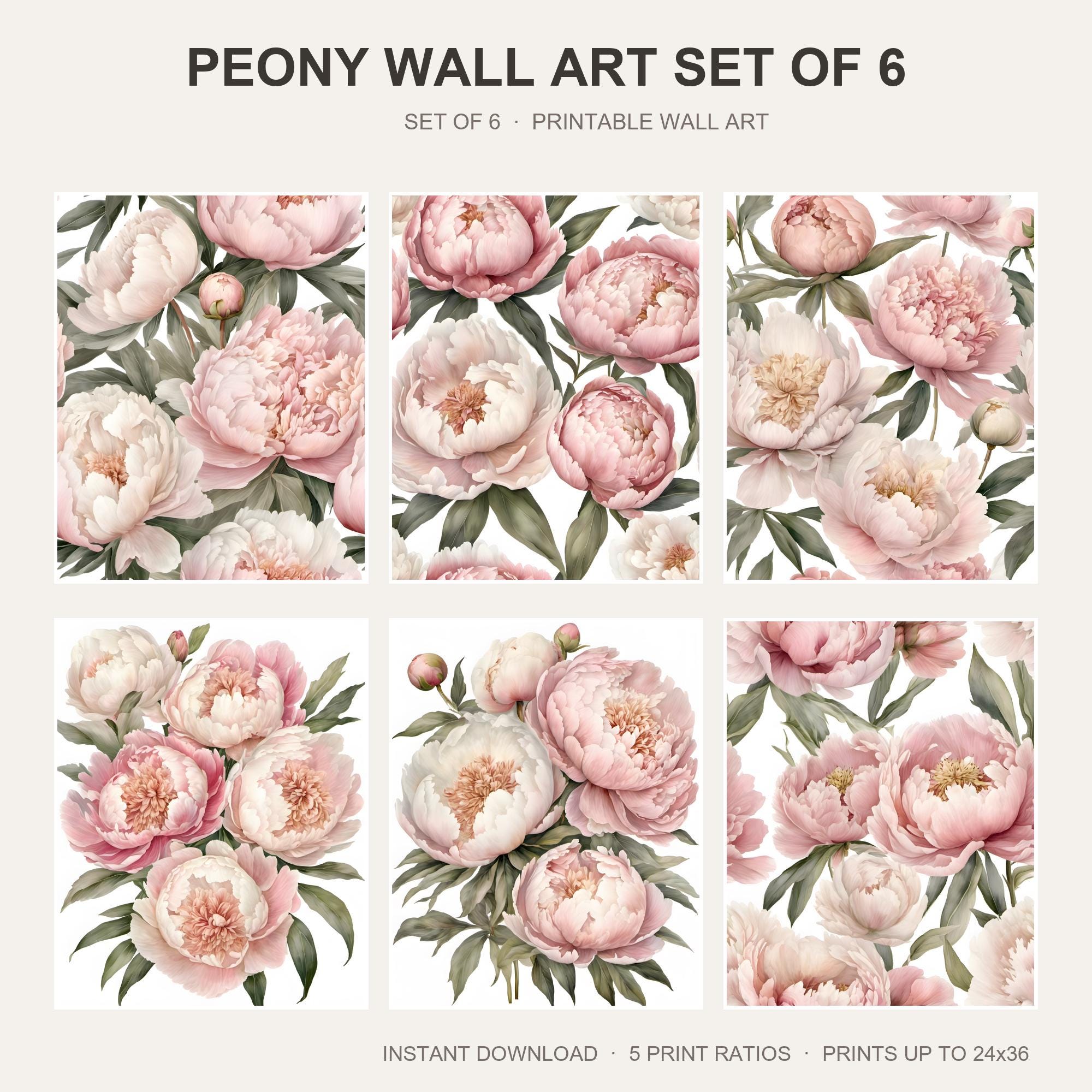 Peony Wall Art Set of 6