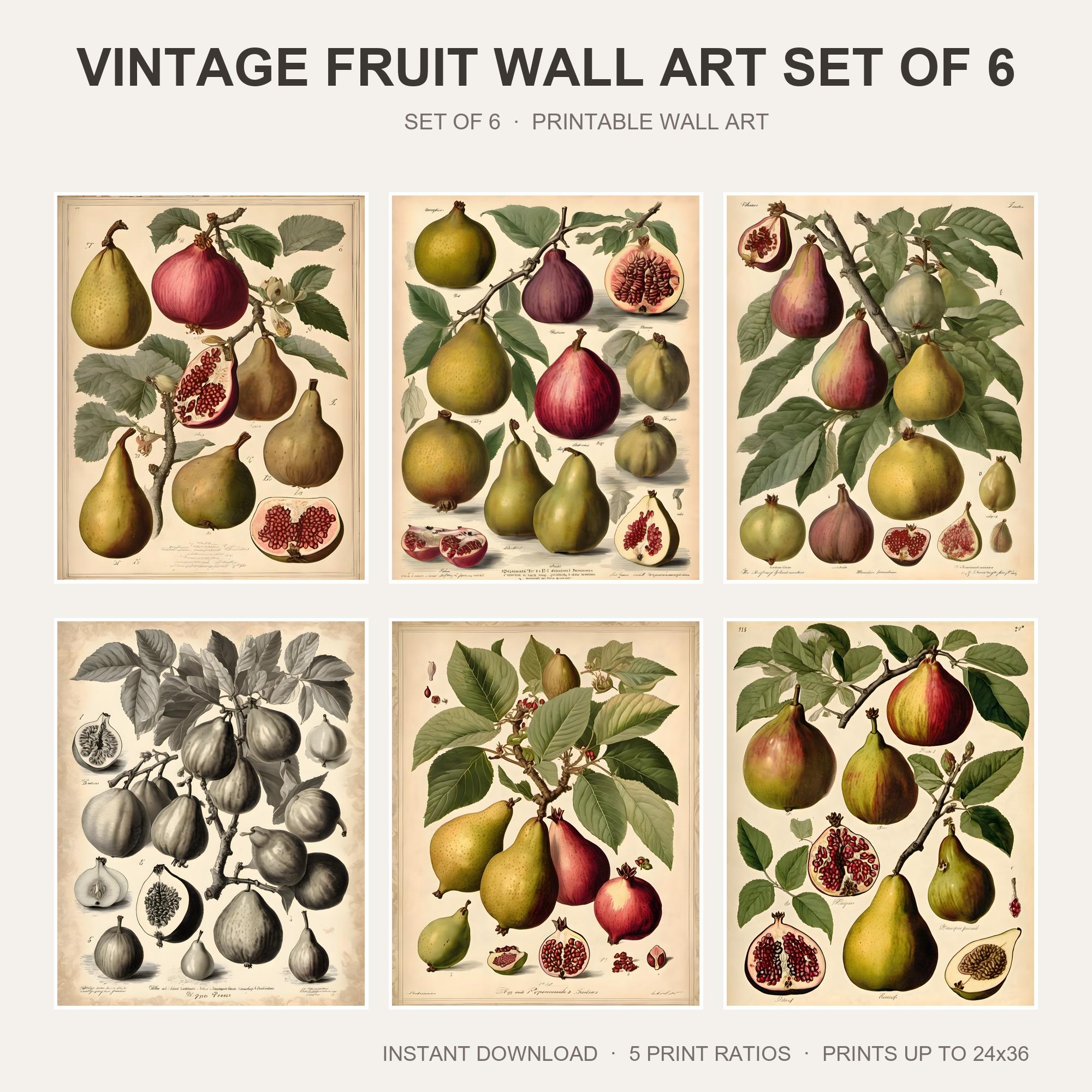 Vintage Fruit Wall Art Set of 6