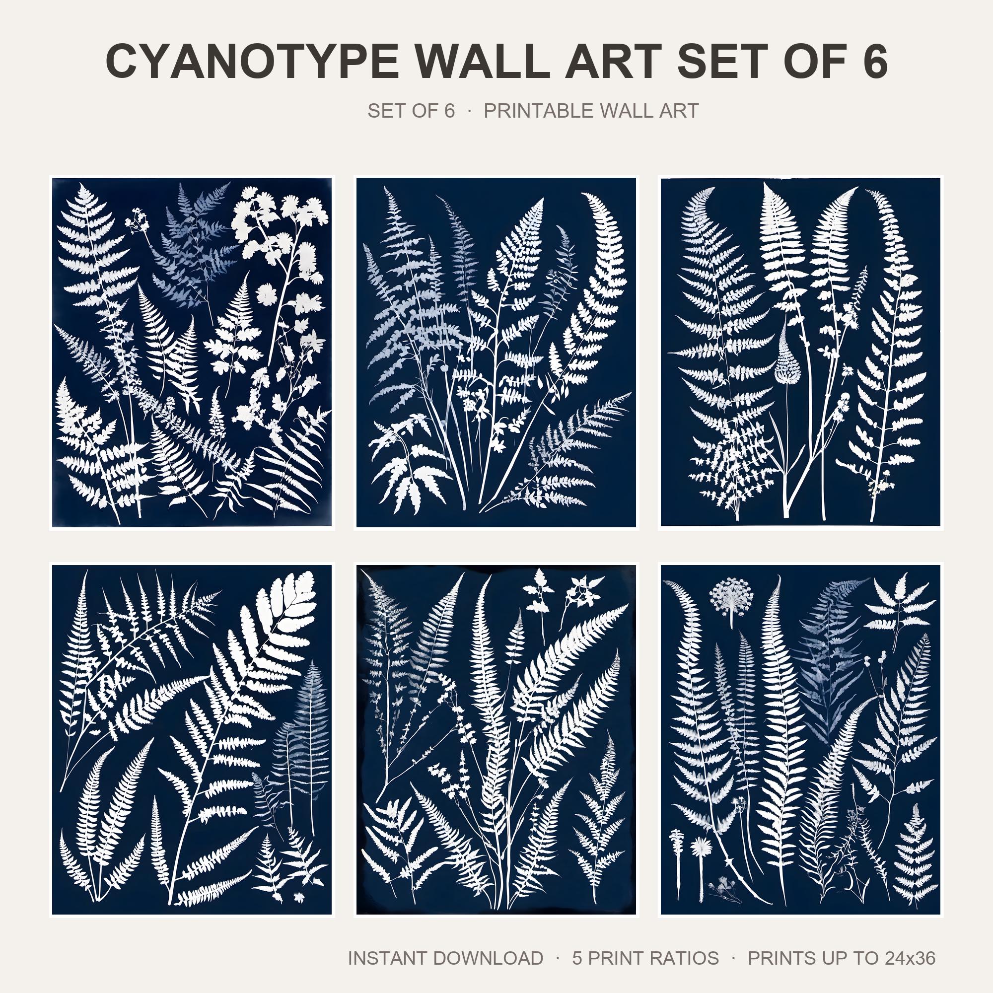Cyanotype Wall Art Set of 6