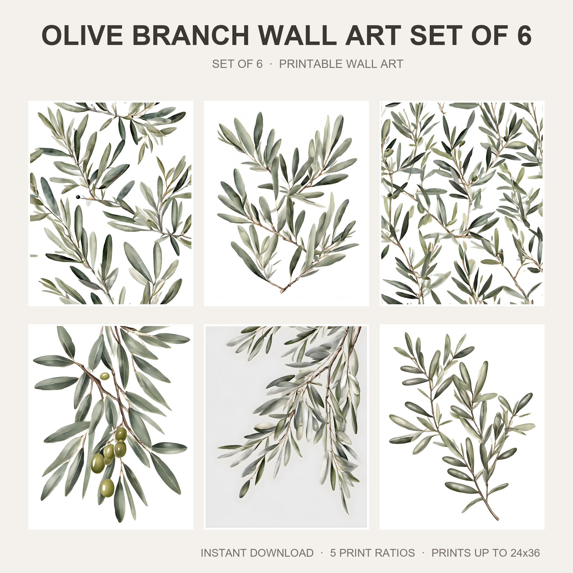 Olive Branch Wall Art Set of 6