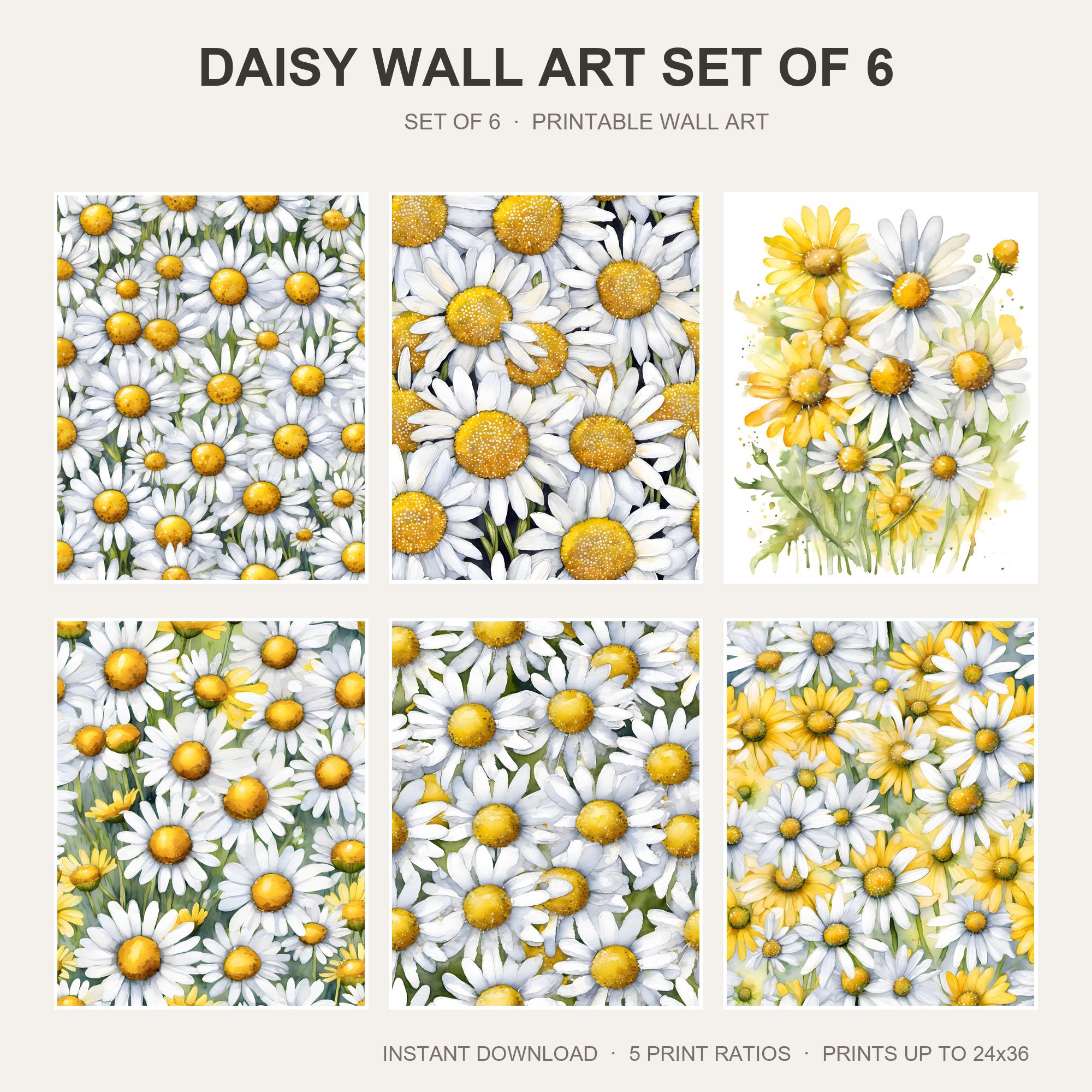 Daisy Wall Art Set of 6