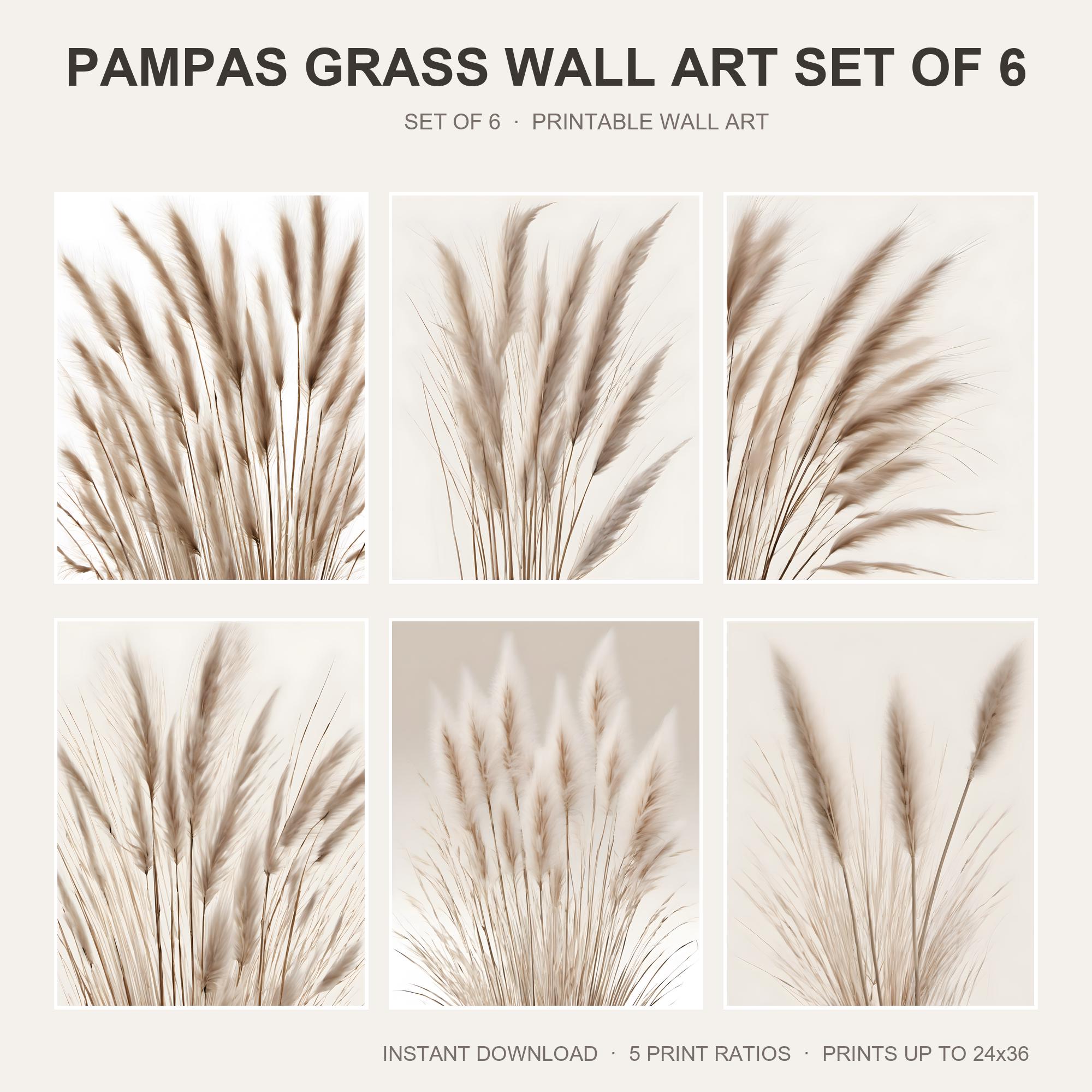 Pampas Grass Wall Art Set of 6