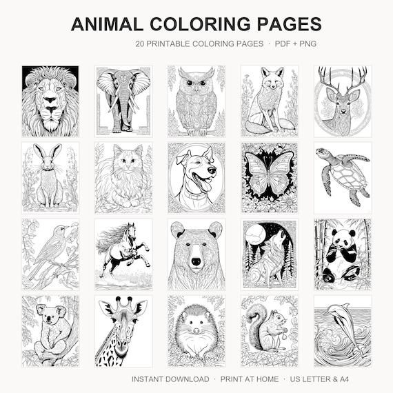 Animal Coloring Pages