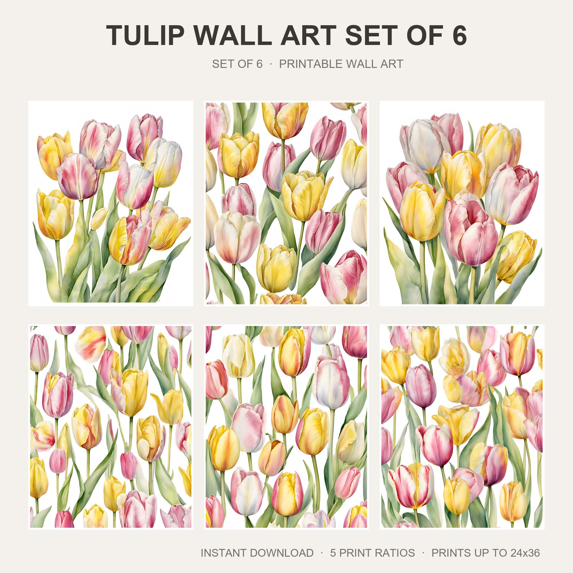 Tulip Wall Art Set of 6