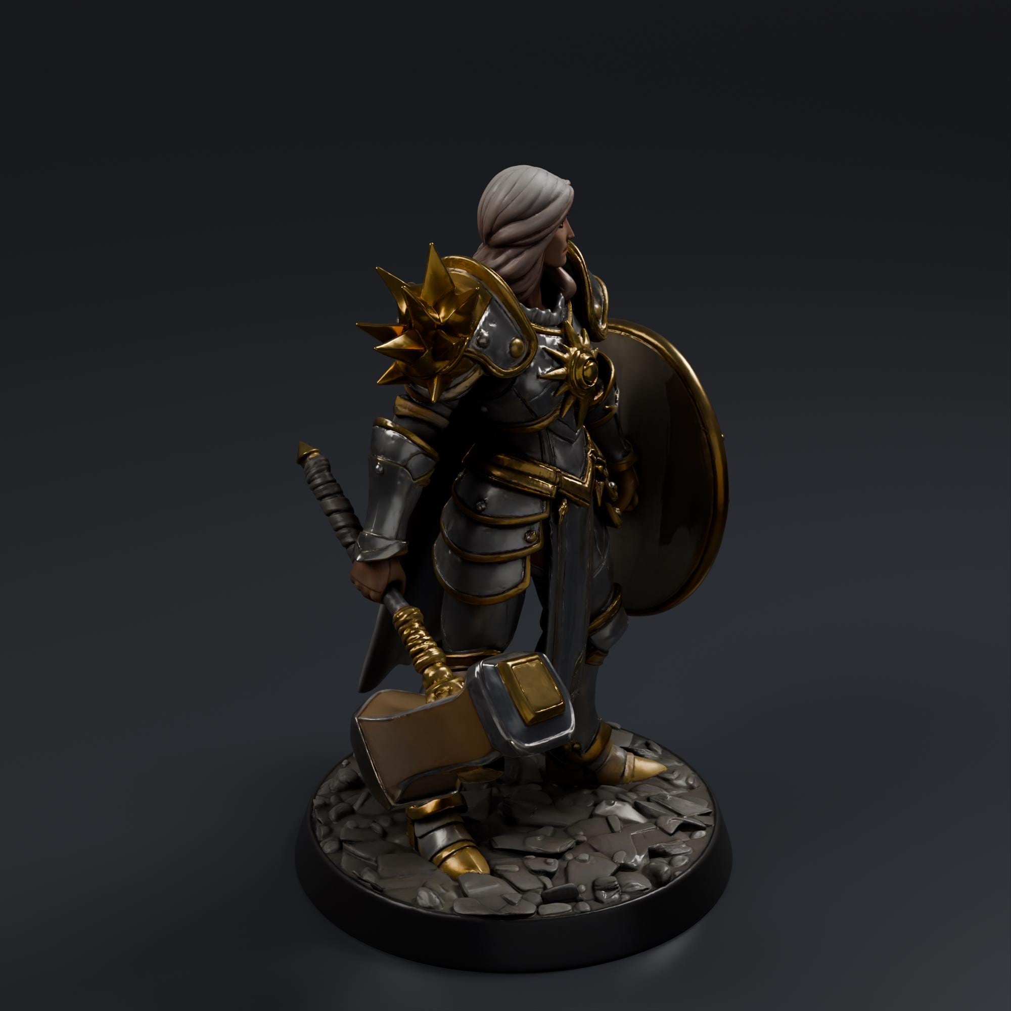 Female Paladin STL File - Fantasy Tabletop Miniature 28mm Wargaming 3D Print