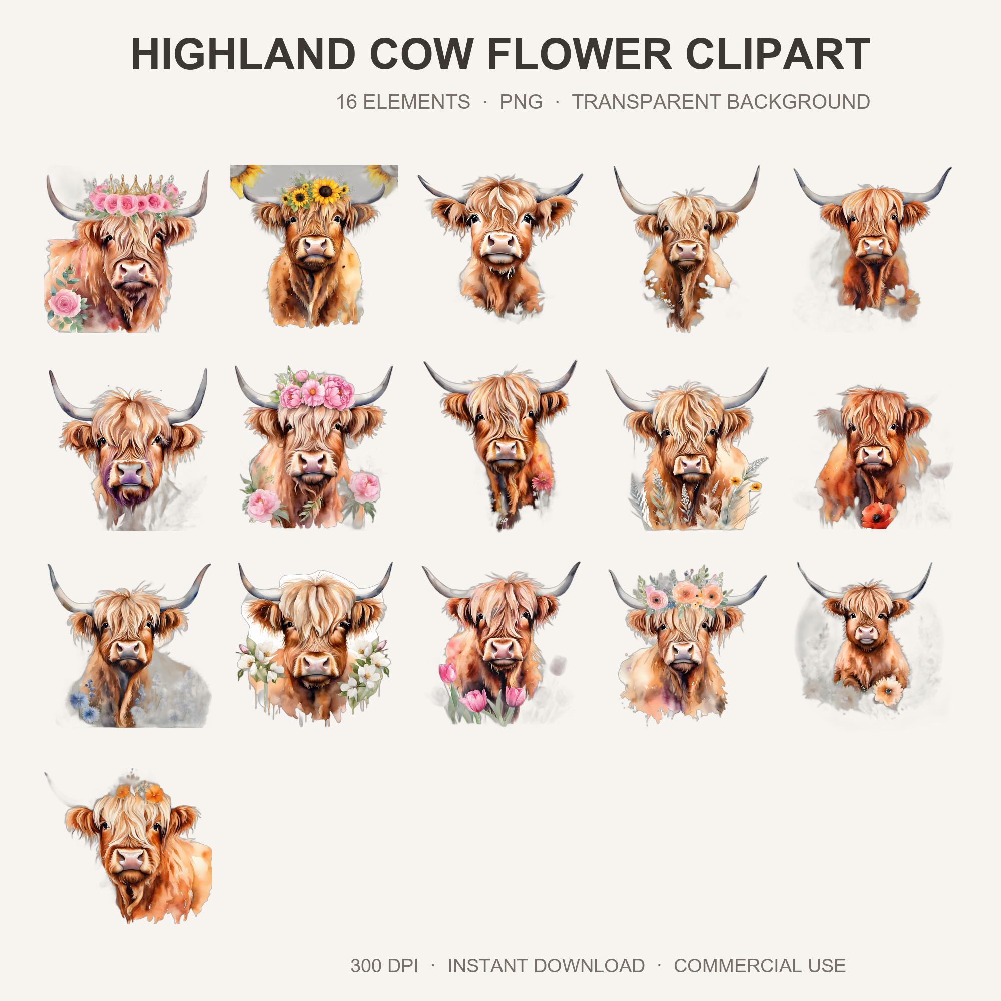 Highland Cow Flower Clipart