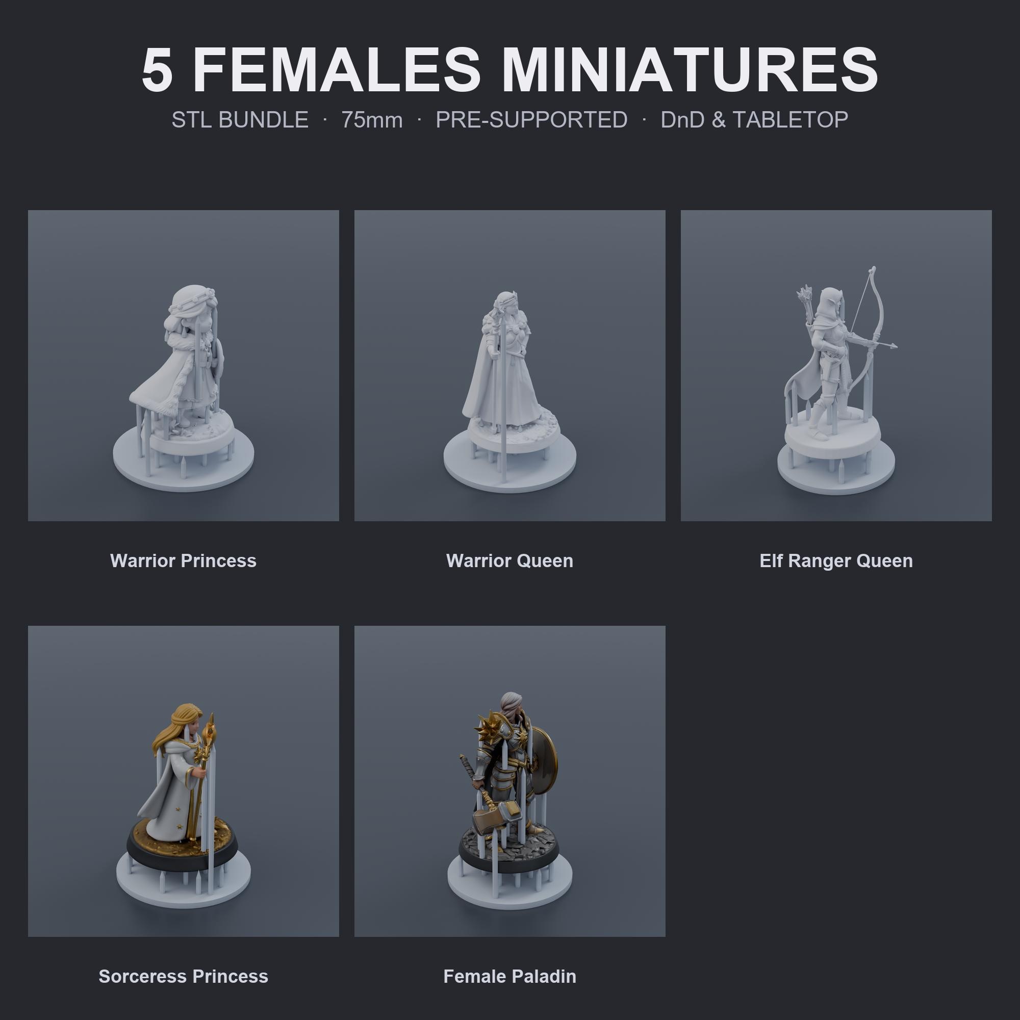 Female Hero Miniatures STL Bundle