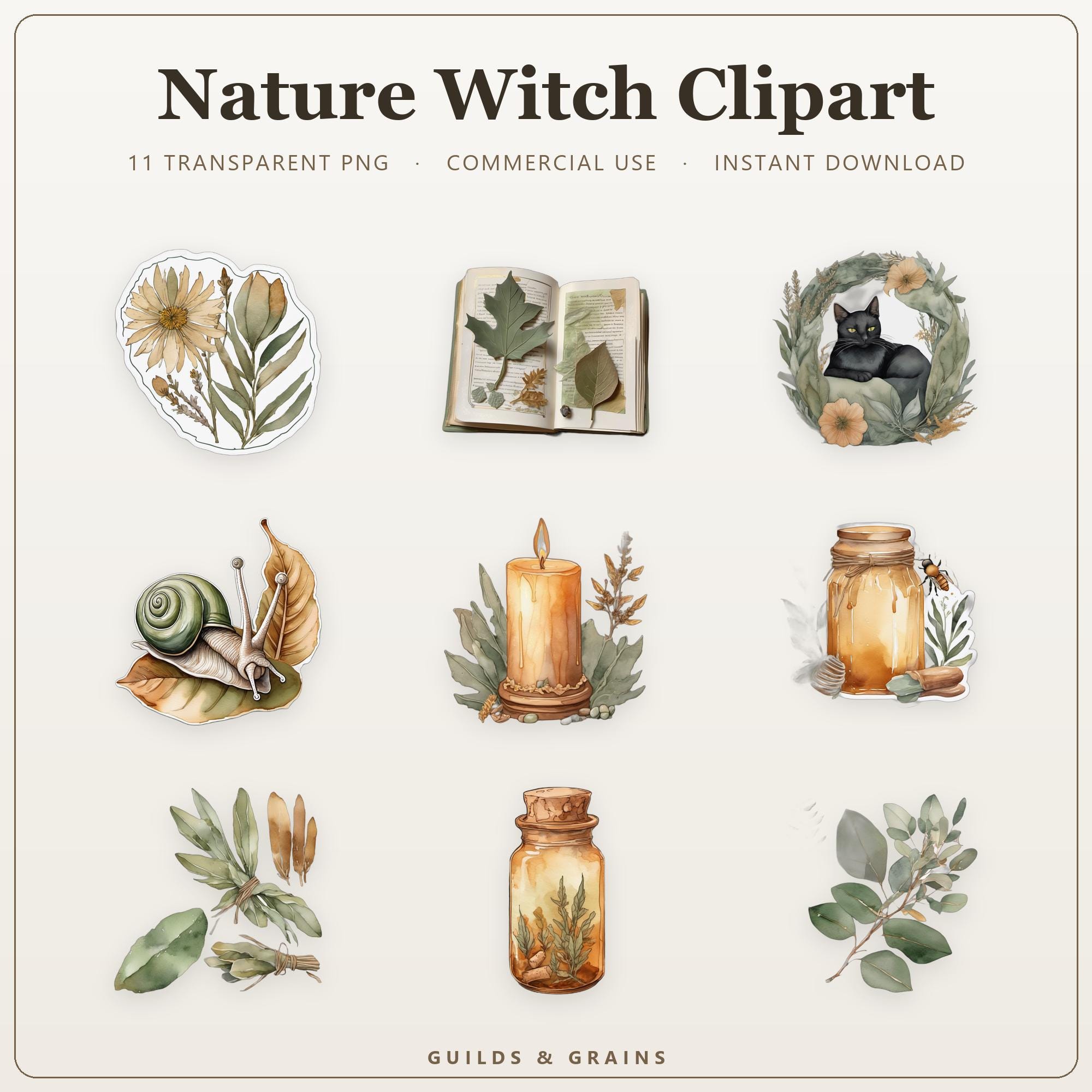 Nature Witch Clipart PNG Bundle