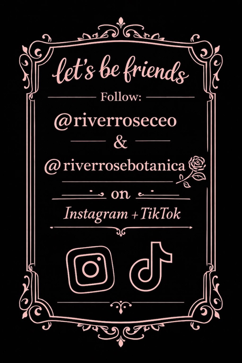 Puede incluir: Un letrero rectangular negro con un borde rosa decorativo y un icono de rosa. El texto dice: let's be friends, Follow: @riverroseceo & @riverrosebotanica on Instagram + TikTok. Los logotipos de Instagram y TikTok aparecen en rosa en la parte inferior.