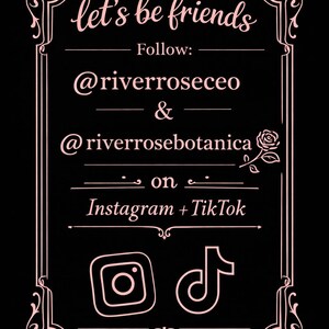K&ouml;nnte beinhalten: Ein schwarzes rechteckiges Schild mit einem dekorativen rosa Rand und einem Rosensymbol. Der Text lautet: let's be friends, Follow: @riverroseceo & @riverrosebotanica on Instagram + TikTok. Die Instagram- und TikTok-Logos sind unten in Rosa abgebildet.