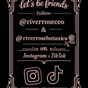 May include: Black background with a pink decorative frame. The text "let's be friends" is at the top, followed by "Follow:" and social media handles. Instagram and TikTok logos are at the bottom.