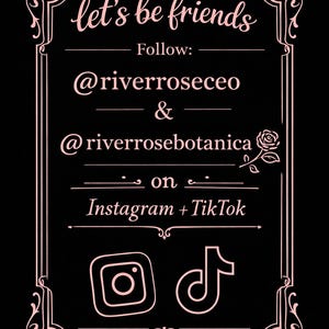 May include: A black rectangular sign with a light pink decorative border and rose icon. The text reads: let's be friends, Follow: @riverroseceo & @riverrosebotanica on Instagram + TikTok, featuring the Instagram and TikTok social media icons.