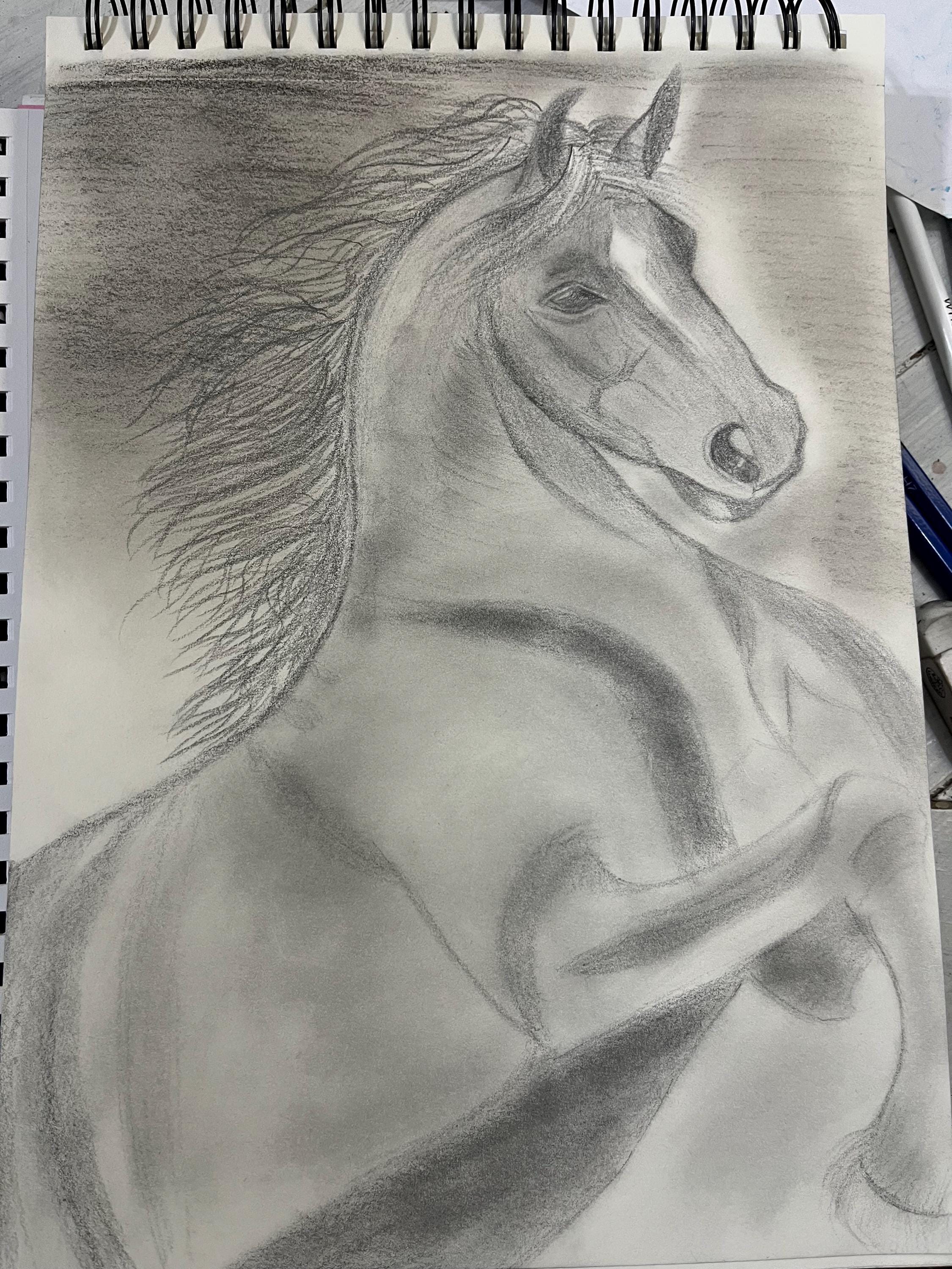 Horse Drawing- Pencil Art -horse Sketch -handmade Animal -artwork -9x12 ...