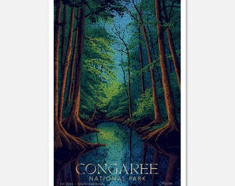 Congaree National Park: Midnight Mosaic Series | Fine Art Poster
