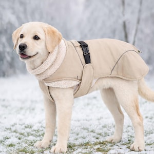 Chaqueta impermeable de invierno para perro con bordado personalizado: abrigo cálido con forro polar, orificio para arnés, ajuste ajustable y ribete reflectante con nombre.