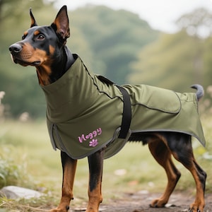 Puede incluir: Un perro Doberman Pinscher con un abrigo verde oliva con una correa negra. El abrigo tiene el nombre "Nezzy" bordado en rosa con una huella de pata. El perro está de pie sobre una superficie cubierta de hierba.