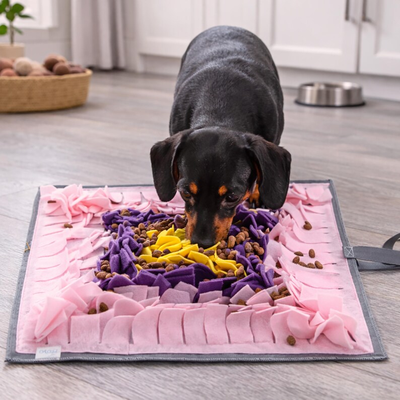 Op de afbeelding: Een zwart-bruine teckel eet van een roze, paarse en gele snuffelmat. De mat heeft een grijze rand en is gevuld met brokjes. Een roestvrijstalen kom staat op de achtergrond.
