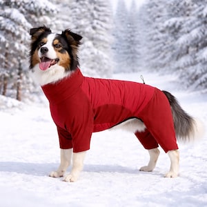 May include: A dog wearing a red winter jumpsuit stands in the snow. The dog has black, brown, and white fur. The jumpsuit covers the dog's body and legs, with a high collar. The background features snow-covered trees.