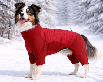 Cappotto invernale per cani a quattro zampe, tuta da neve impermeabile per cani, giacca antivento con collo alto per cani, vestiti invernali per cani personalizzati e ricamati su tutto il corpo