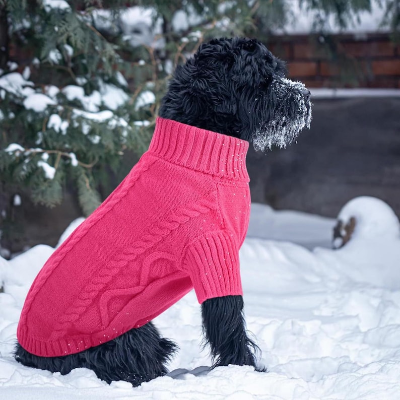 Hundepullover mit Zopfmuster, warmer Rollkragenpullover für Hunde, gemütlicher, dehnbarer Hundepullover, weicher Haustierpullover für kleine mittelgroße große Hunde Bild 5