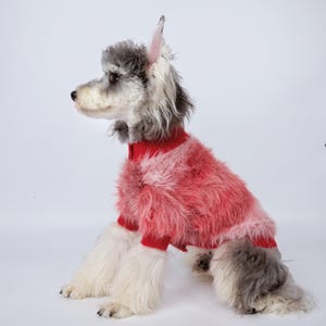May include: A seated dog with a red and pink fur sweater. The dog has gray and white fur with pink-tinged ears. The sweater has a red collar and cuffs. The dog is against a white background.