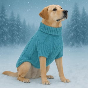 Hundepullover mit Zopfmuster, warmer Rollkragenpullover für Hunde, gemütlicher, dehnbarer Hundepullover, weicher Haustierpullover für kleine mittelgroße große Hunde Bild 3