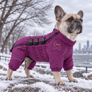 Peut inclure: Un bouledogue français portant un manteau pour chien matelassé violet avec un col haut, trois boucles en plastique noir et une fermeture éclair diagonale. Le nom Coco est brodé en fil doré au-dessus d'une icône d'os sur le côté du cou.