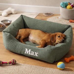 以下が含まれることがあります： 緑色のコーデュロイの犬用ベッドで、小さな茶色の犬が休んでいます。「Max」という名前が白で刺繍されています。カラフルなロープのおもちゃと青と黄色のボールが前景にあります。他の犬のおもちゃとフードボウルが背景にあります。