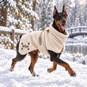 Könnte beinhalten: Ein Dobermann trägt einen cremefarbenen, strukturierten Fleece-Mantel mit hohem Kragen und einem beigen, verstellbaren Riemen. Der Mantel ist mit dem Namen Willow in schwarzer Schreibschrift und vier kleinen schwarzen Pfotenabdrücken bestickt.