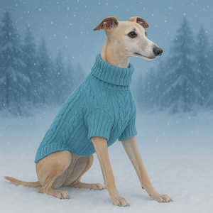 May include: A light brown Whippet dog wearing a teal blue cable-knit turtleneck sweater, sitting in the snow. The dog is facing right, with a snowy forest background. The sweater has a thick, textured design.