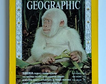 National Geographic March 1967 | Snowflake White Gorilla Cover | Rare Albino Wildlife | Vintage Collector Issue